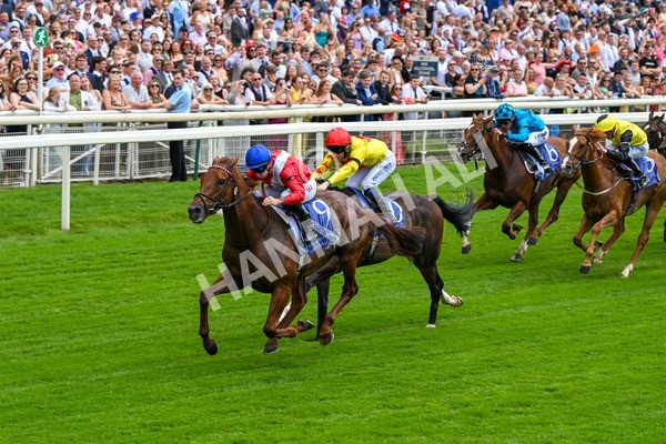 280625-Race 1-Archivist-9950 - Race 1 1.55pm Al Basti Equiworld Dubai Mile Handicap