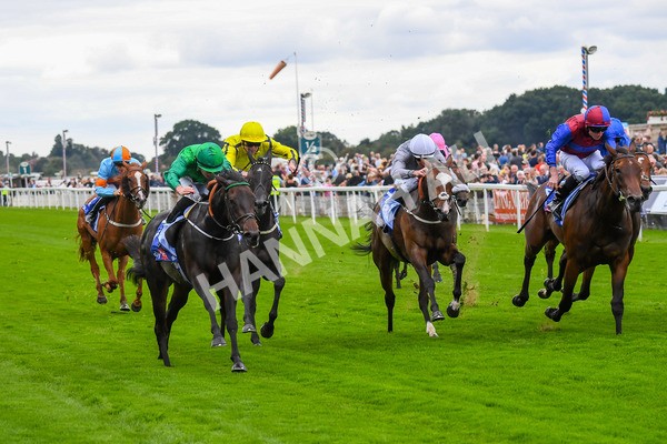 240823-Race 1-Relief Rally-0071 - Race 1 1.50pm Sky Bet Lowther Stakes