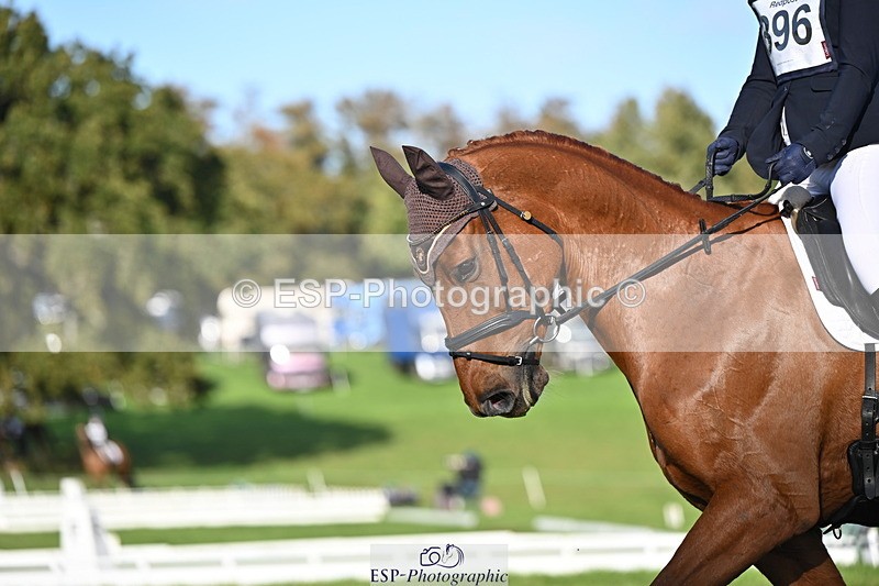 251024A-151541-14005 - E-396-Madeleine.Robertson