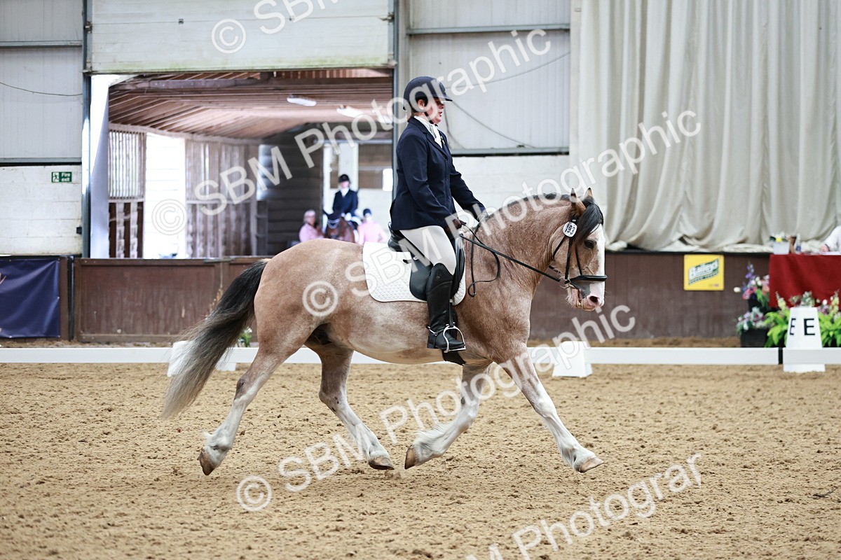 SBM_014239 - Class 7 - Ele FSM Bronze 12.12.13.08