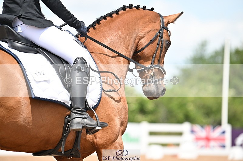 240621A-120257-02027 - Cls 7 BD Elementary 45