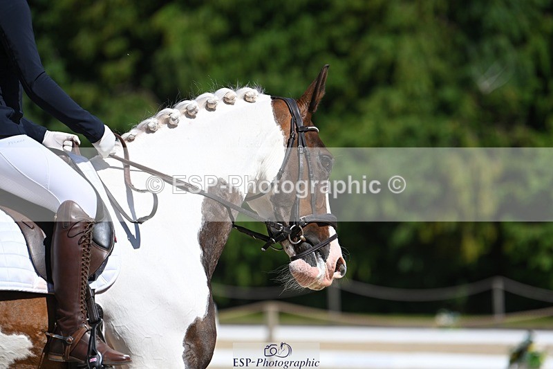 230811-141259-01752 - Cls 2 Prelim Silver Start to 14.30 break