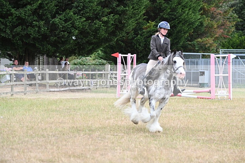 WJ6_9643 - Class 12 Minimus Jumping 45cm