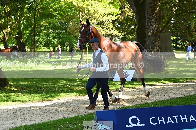 230524-152404-00242 - 325-LONESTAR-Thomas_Hawke-WEDTrotUp+DR