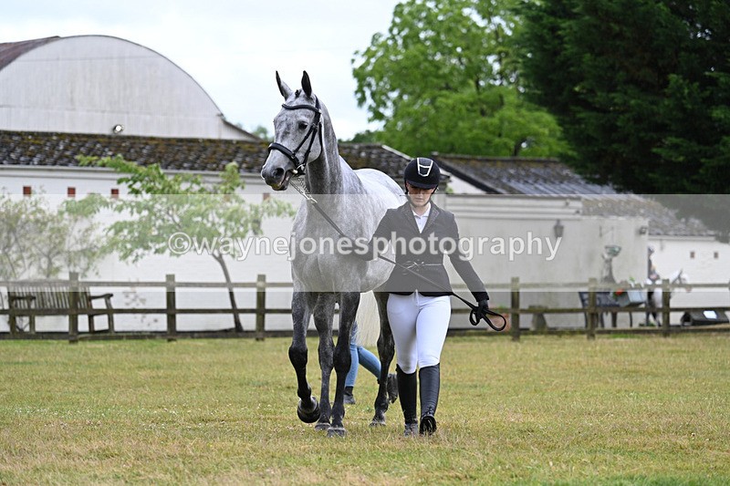 WJ7_6043 - Class 4a Prettiest Mare over 14hh
