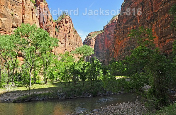 Zion Valley - Zion National Pk. -  2012