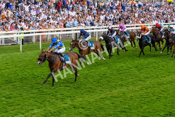 170623-Race 7-The Green Man-1011 - Race 7 5.25pm Clean Up With PPS Handicap