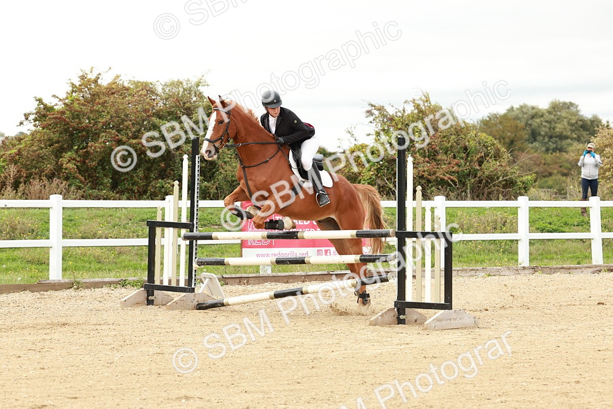 1I0A6778 - Class 2 - Senior British Novice