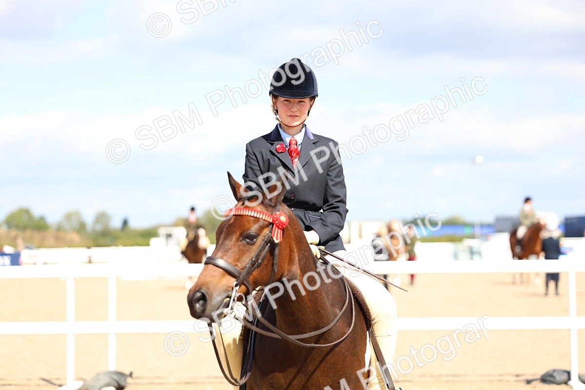 SBM_13319 - Class 311 - Ridden Show Pony Show Hunter Pony