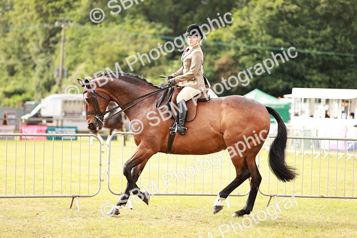 SBM_10861 - Class 81-84 - RIHS Ridden hunters Inc Ladies Hunter