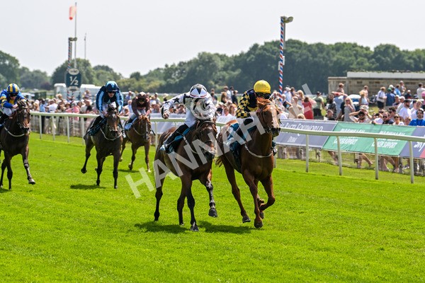 130625-Race 2-Carnation Queen-8631 - Race 2 2.25pm Coopers Marquees Rous Selling Stakes