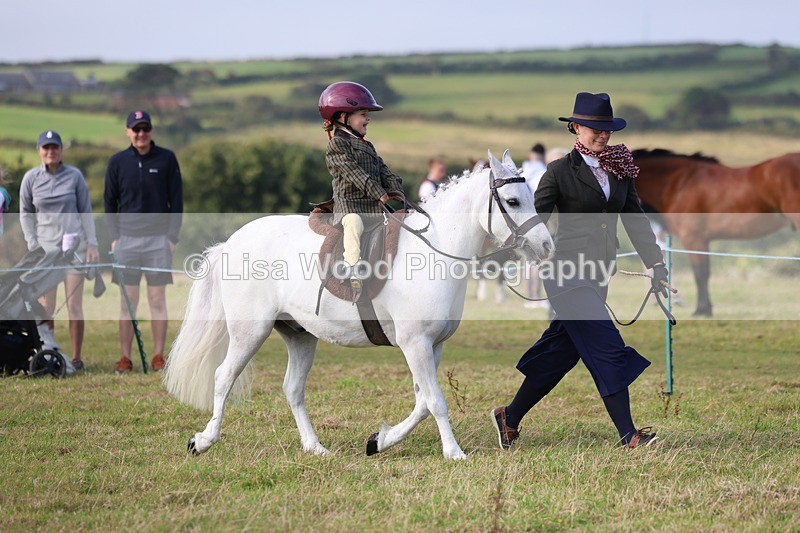 3E7A3349 - Class 2: Lead rein