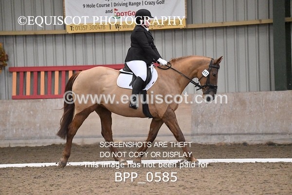 BPP_0585 - 2 - G NEIL