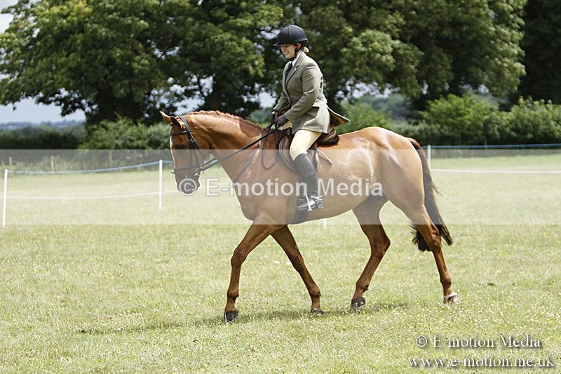 BVR160717-1823 - Ring 3 BVRC Show 16/07/17