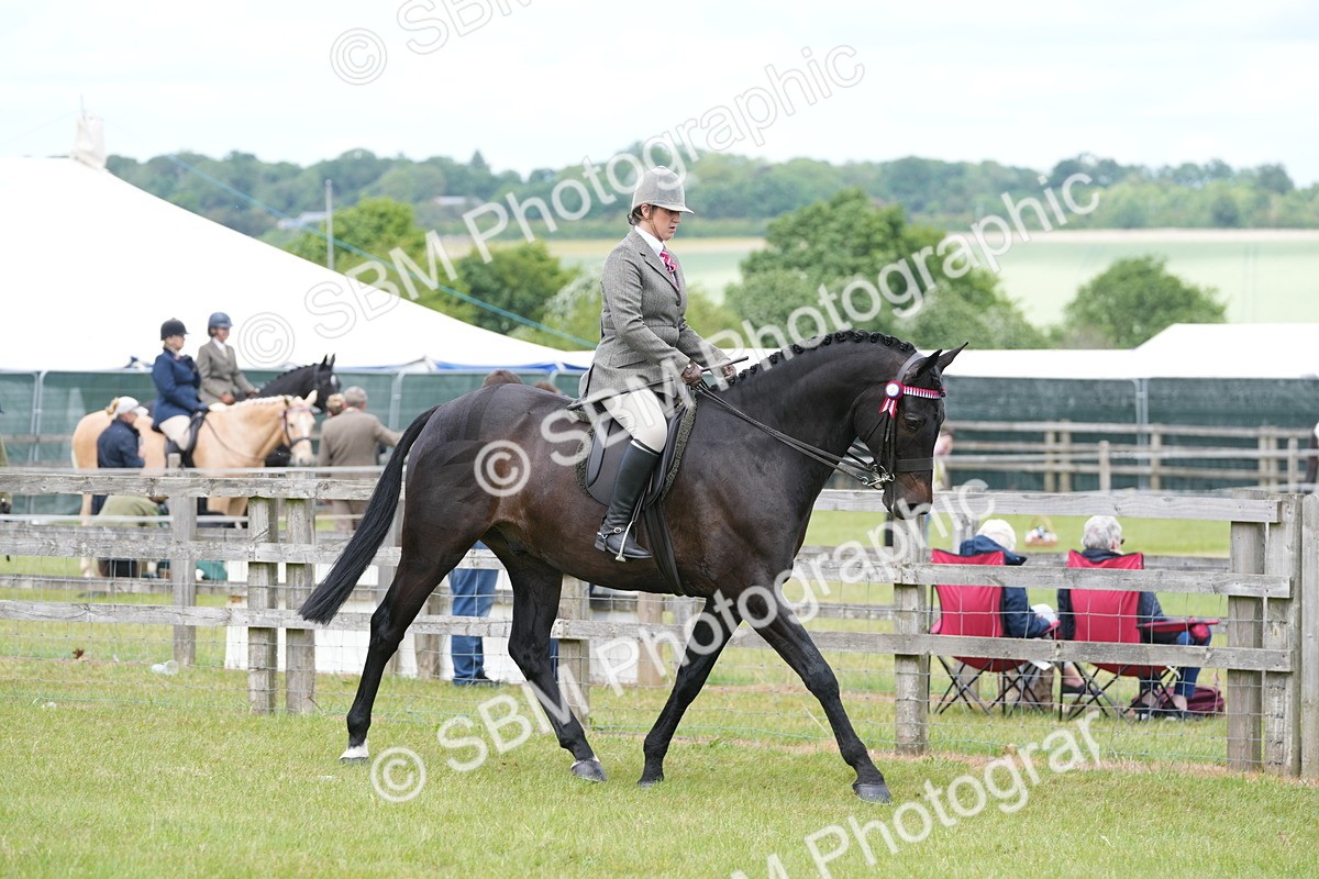 SBM_16151 - Class 105-106 - RIHS Riding Horses
