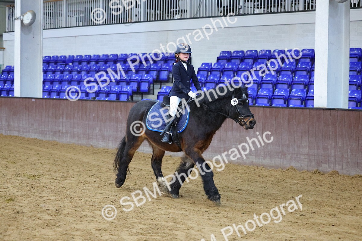 SBM_000098 - Class 1 - Show Jumping 50cm