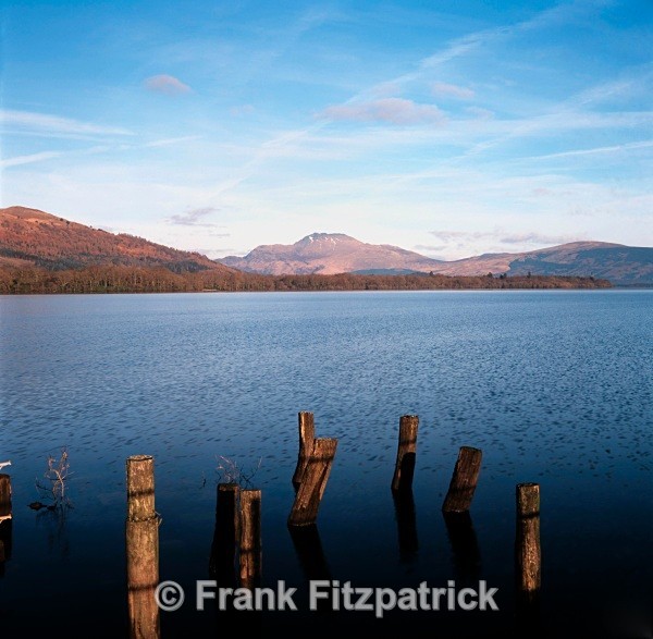 Ben Lomond from Inchmurrin Island, Loch Lomond, Strathclyde, Scotland. - Scottish scenics