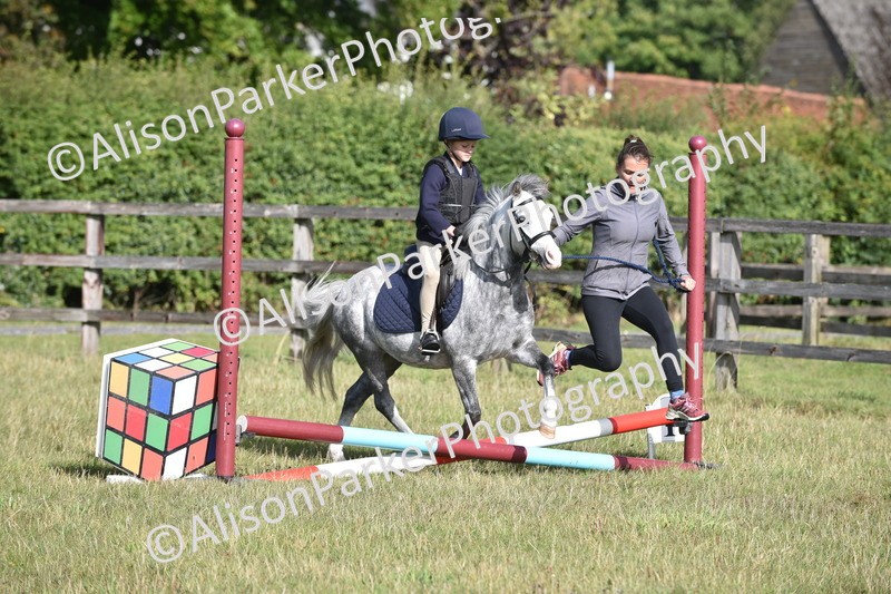 20250831-0338 - Class 6 - Minimus Jumping 30cm