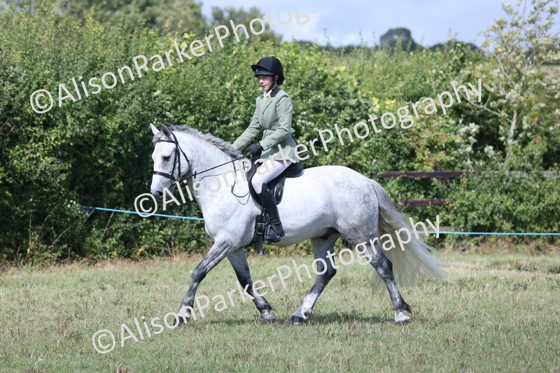 20250831-2940 - Class 19 - Mountain and Moorland