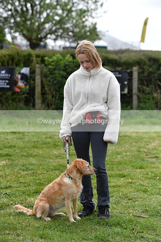 WJ5_9351 - Class 1 Best Cross Breed / Heniz 57