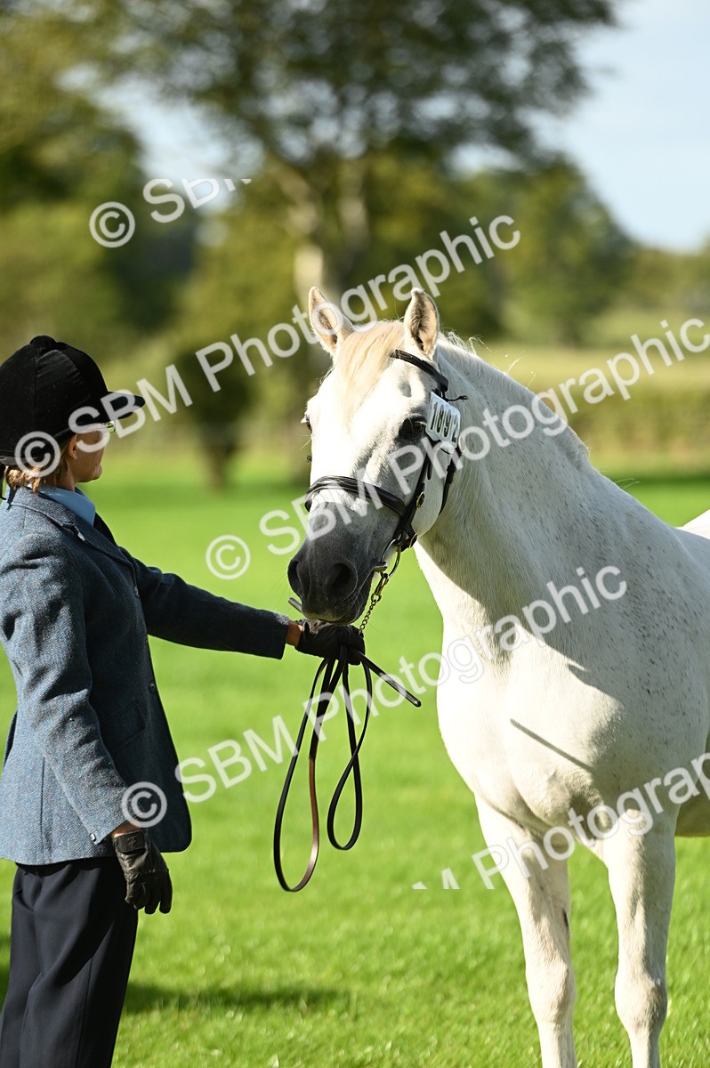 SBM_15885 - S1 - TSR in Hand Horse & Pony Showing