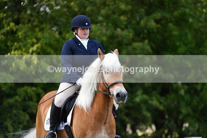 WJ5_8864 - Time 09:34 to 09:57