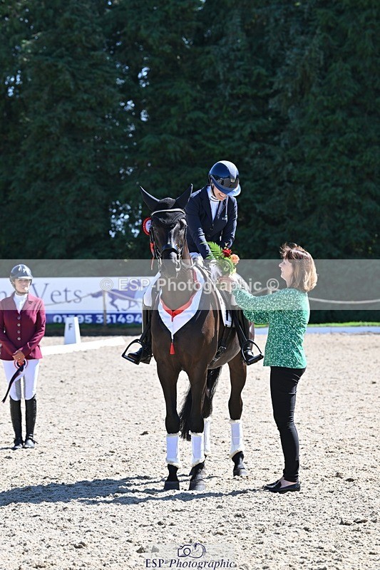 240811-153400-06647 - Adv Medium Gold