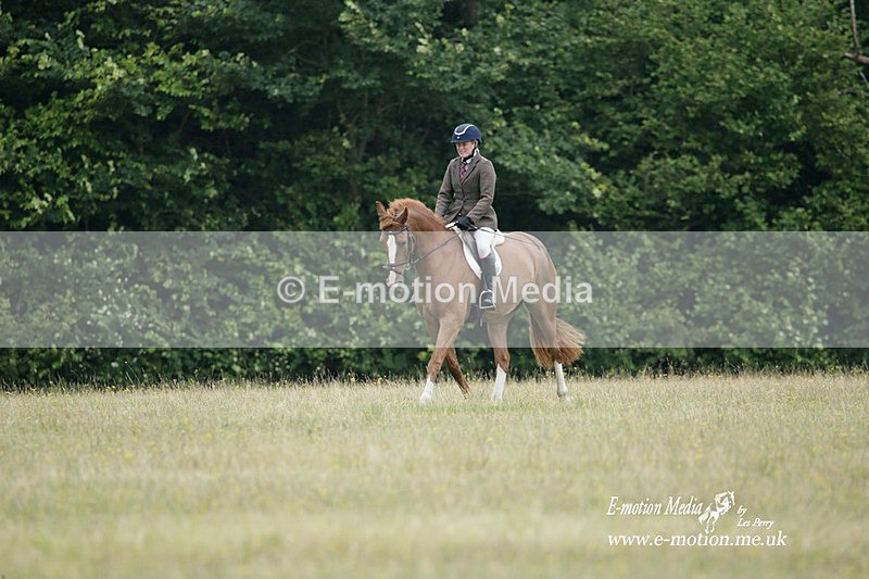 BVRC 030721 2 - Bourne Valley Riding Club Dressage 03/07/21
