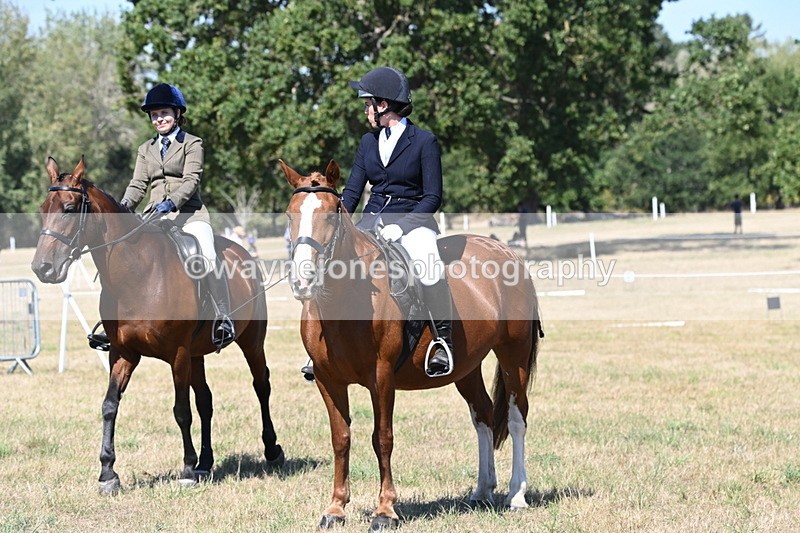 WJ6_8429 - Class 37a Best Loan Pony Ridden