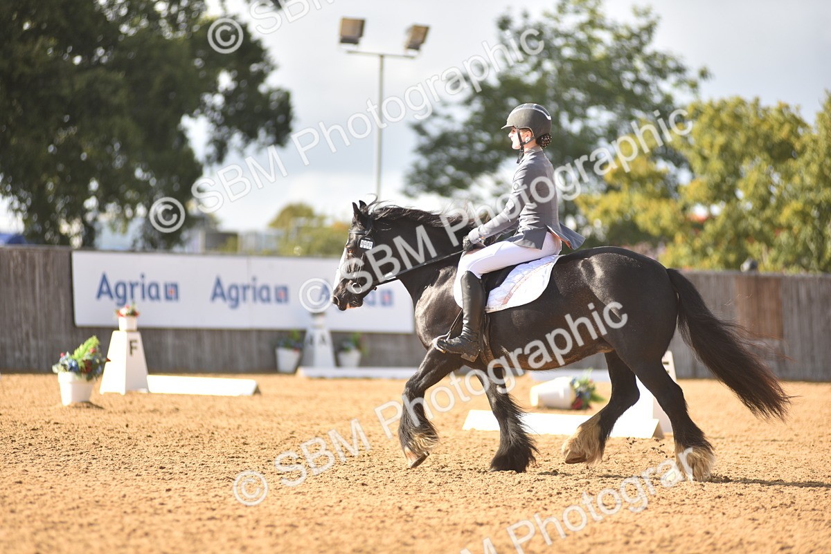 SBM_53211 - D24 - Junior Championship Prelim 3
