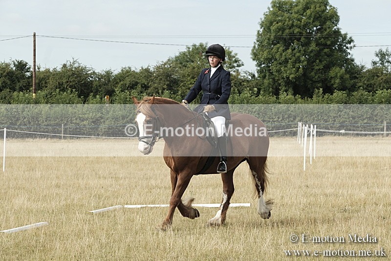 _PJP5615 - Dressage Classes BVRC Show 2018