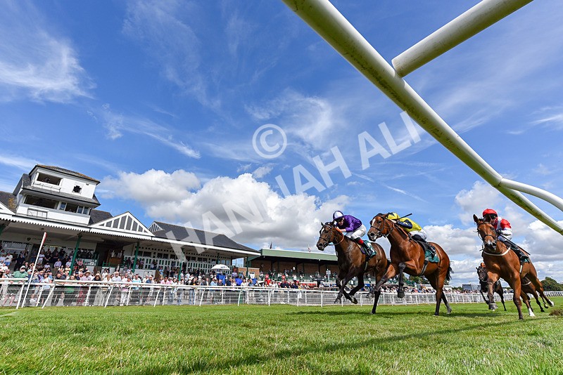 090725-Race 3-Stardinia-6528 - Race 3