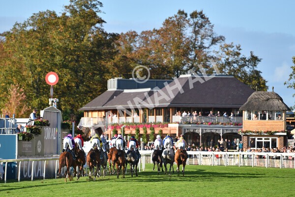 yr08102022r6-22 - Race 6 4.25pm The Watch Racing Online Free With Coral Handicap Stakes