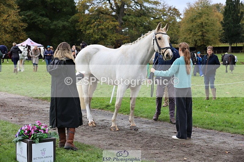 251026A-105247-23342 - G-557-Imogen.Knight with SJ