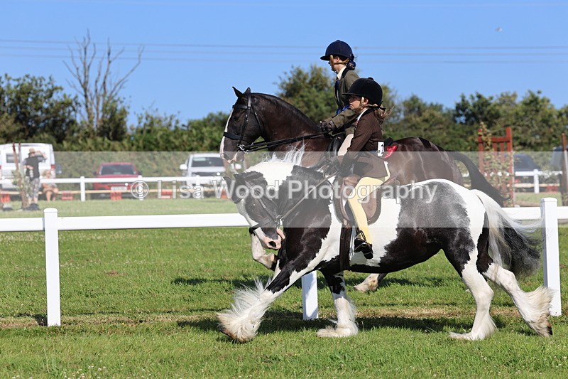 IMG_1657 - Skewbald and Piebald Ridden Championship