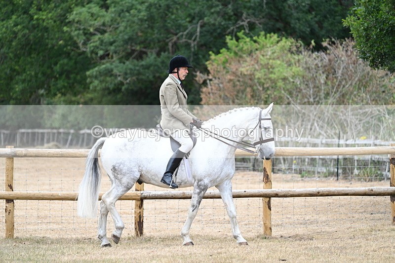 WJ7_0730 - Class 7 Riding Club Show Horse