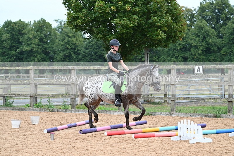 WJ7_9879 - Poles 14:00