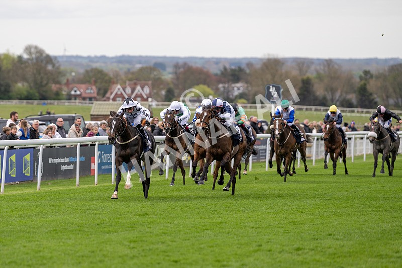 160425-Race 1-Ali Shuffle-2221 - Race 1