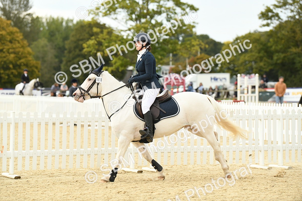 SBM_73391 - J16 - Junior Pony 75cm Championship