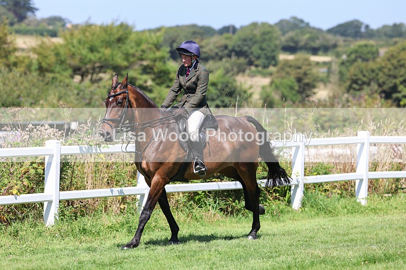 3E7A9011 - Class 6: Open Working Horse