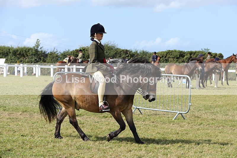 1X9A5644 - Class 39: NPS Dartmoor, Exmoor, Shetland
