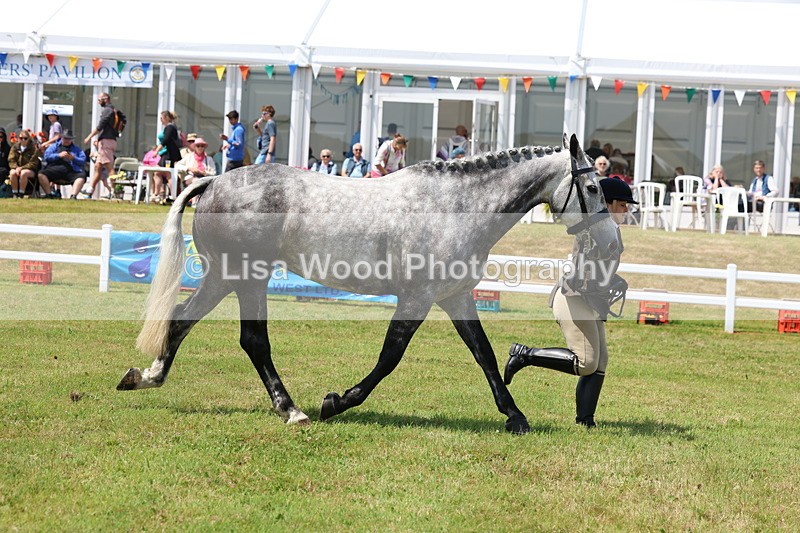 3E7A1684 - Class 9: Open Hunter