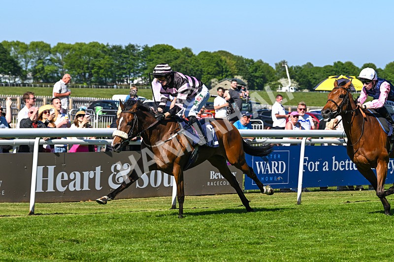 130525-Race 5-Kimeko Glory-0262 - Race 5