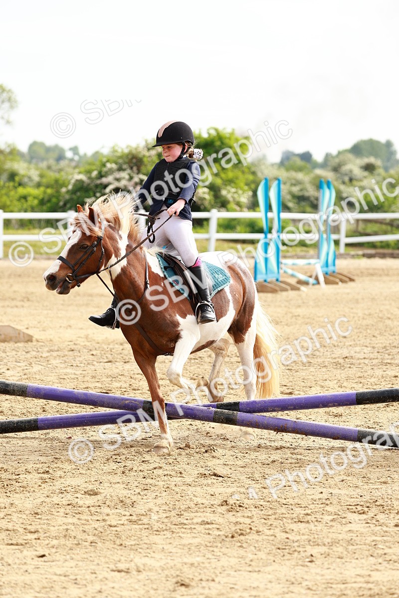 SBM_006480 - Class 1 - 40cm