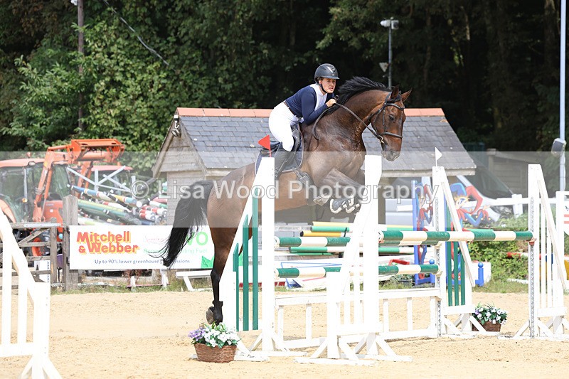 3E7A4367 - Class 8: Senior Foxhunter/1.20 open