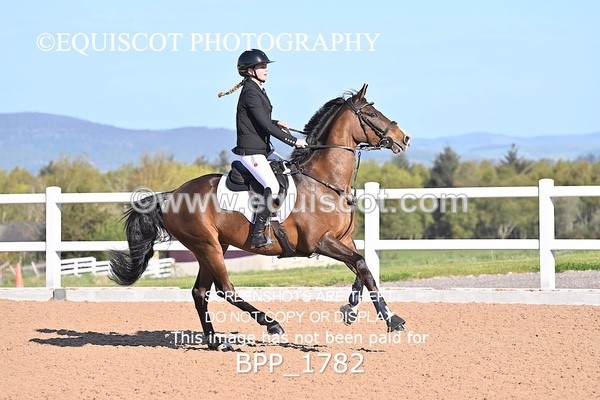 BPP_1782 - CLASS 1 - FRI - KBIS Club Senior 70cms