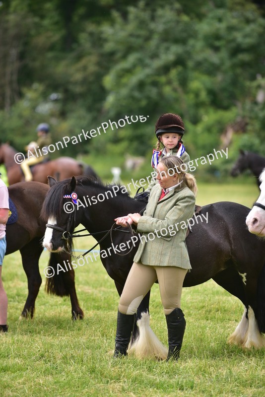 20260614-3690 - Class 15 - Prettiest Mare