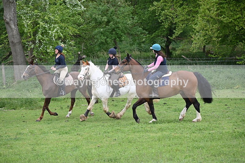 WJ6_3124 - A camera