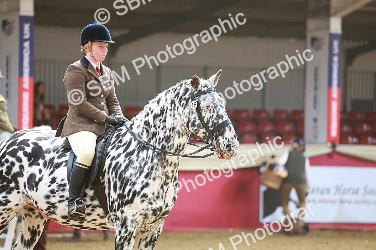 SBM_12630 - Class 103 - HOYS Veteran Qualifier - Ridden Pre Vet
