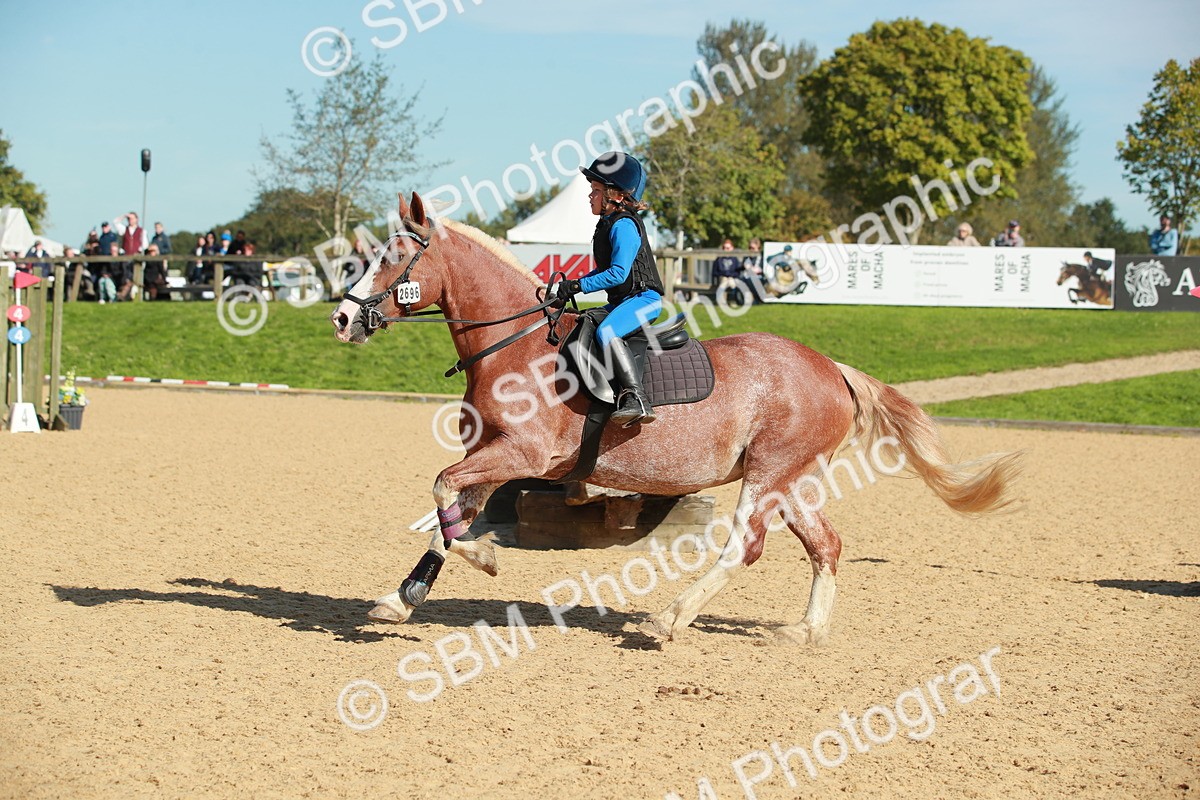 SBM_17183 - E10 - Eventers Challenge 50cm Championship